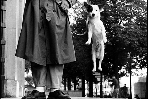 springender Hund, Paris, 1989