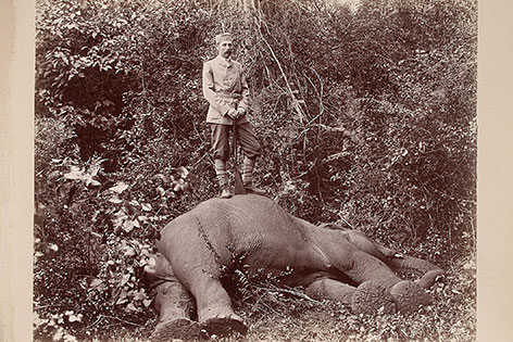 Franz Ferdinand mit Elefant