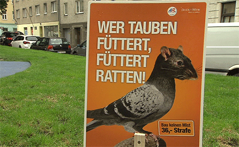 Anti-Tauben-Kampagne
