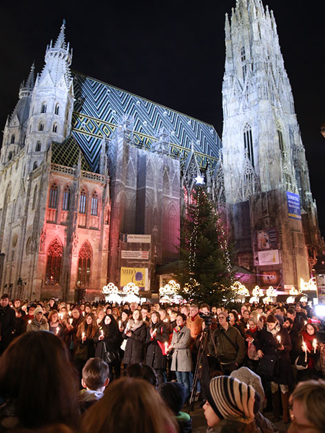 Kundgebung der Caritas auf dem Stephansplatz