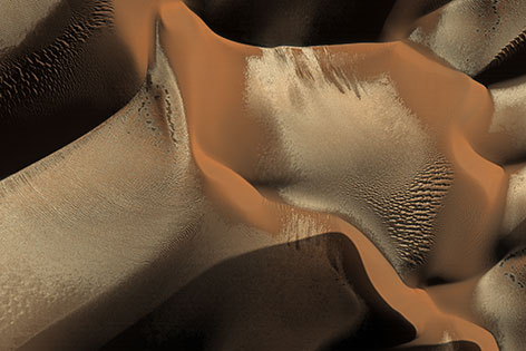 Reif auf Marsdünen im Winter