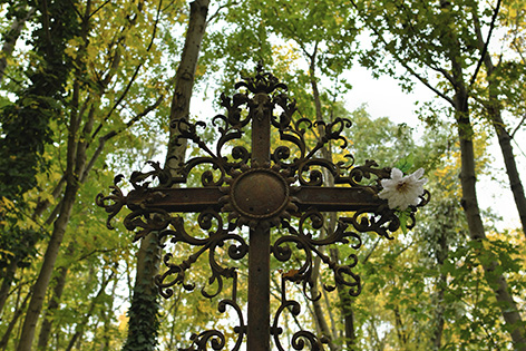 Grab Waldfriedhof Friedhof