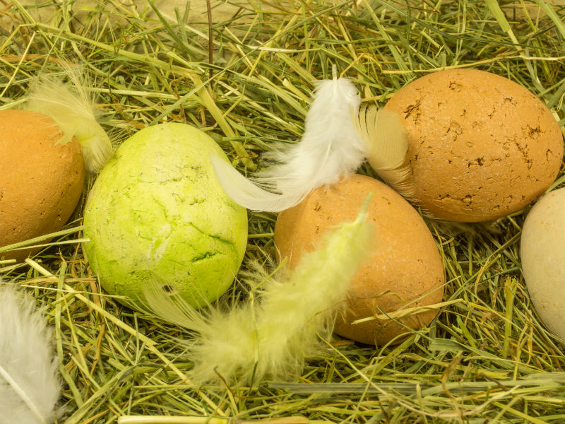 Ostereier im Nest mit Federn