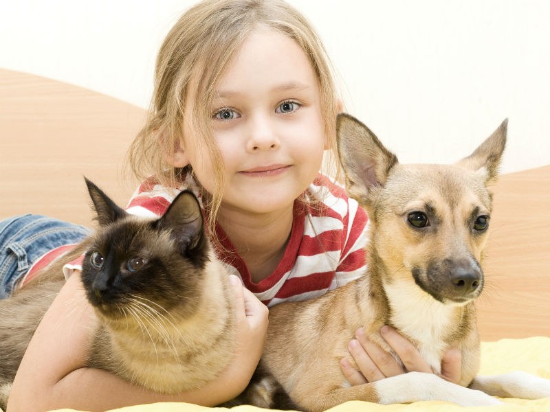 Mädchen mit Hund und Katze