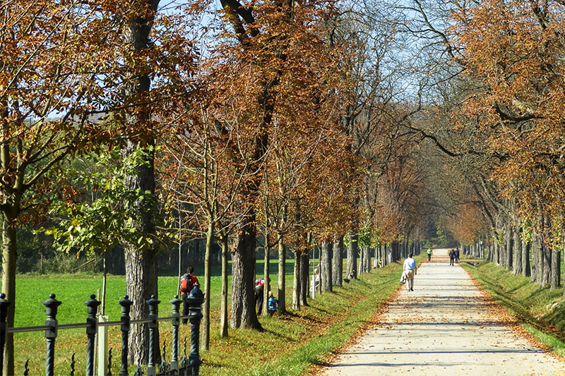 Hermespark im Lainzer Tiergarten