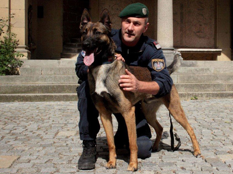Polizeihund „Rasty“ erschnüffelte Heroin in Schutthaufen