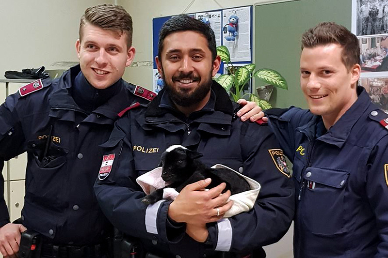Polizisten mit einem Ziegenbaby im Arm