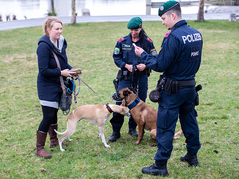 Polizisten der Polizeidiensthundeeinheit (PDHE) mit ihren Hunden bei einer Kontrolle